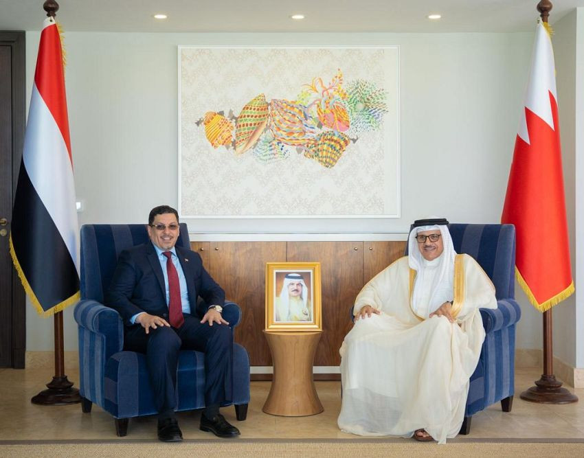 وزير الخارجية خلال اللقاء