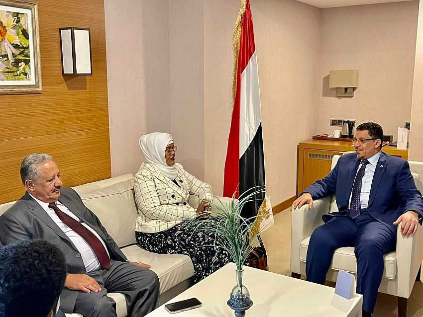 وزير الخارجية خلال اللقاء