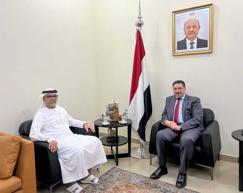 وزير الخارجية خلال اللقاء