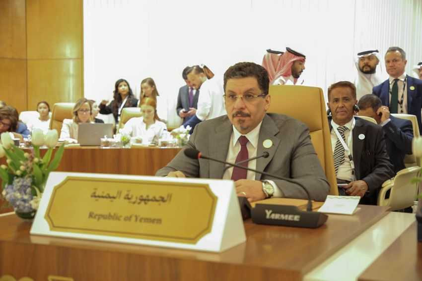وزير الخارجية خلال المشاركة