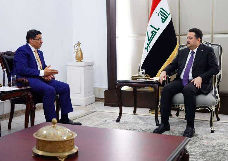 وزير الخارجية خلال اللقاء