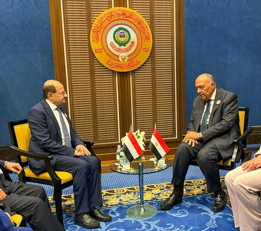 وزير الخارجية مع نظيره المصري
