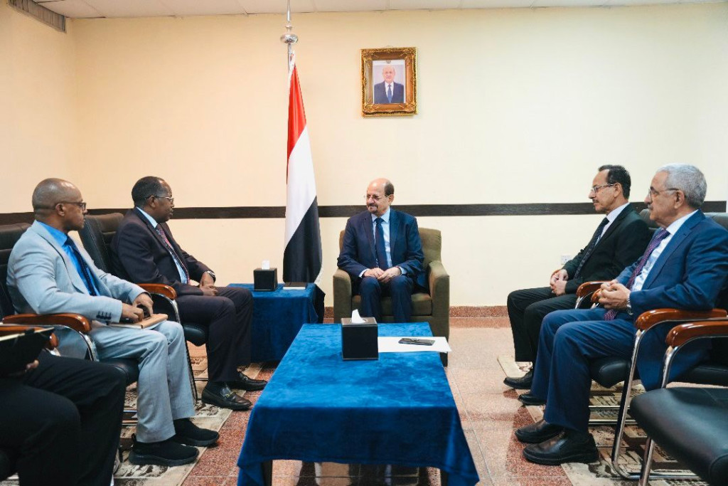 وزير الخارجية يبحث مع السفير الإثيوبي القضايا ذات الاهتمام المشترك