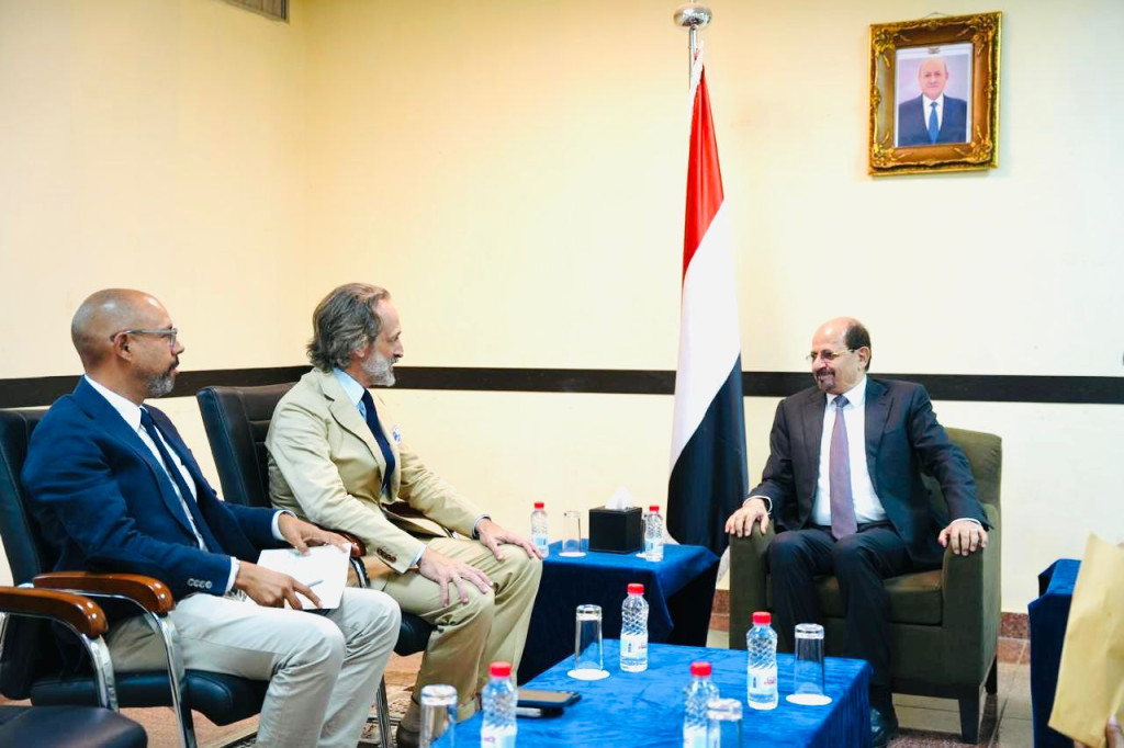 وزير الخارجية يبحث مع المنسق المقيم للأمم المتحدة الأوضاع الإنسانية والإغاثية والتنموية