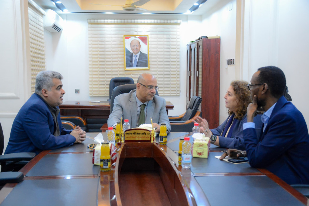 وزير التخطيط يبحث مع مسؤولين أمميين التدخلات التنموية والإنسانية