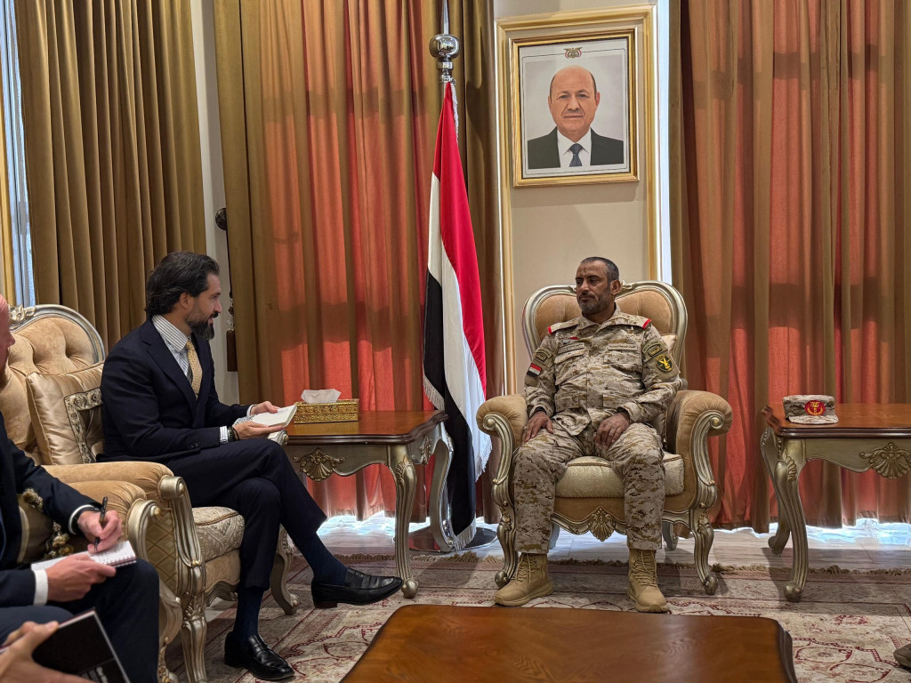 رئيس هيئة الأركان يبحث مع القائم بأعمال السفارة الأمريكية أوجه التعاون العسكري والأمني