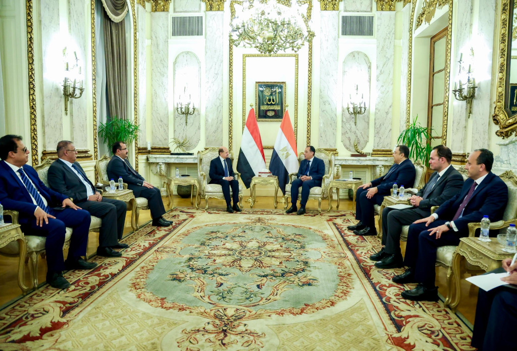 رئيس الوزراء وزير الخارجية يلتقي نظيره المصري