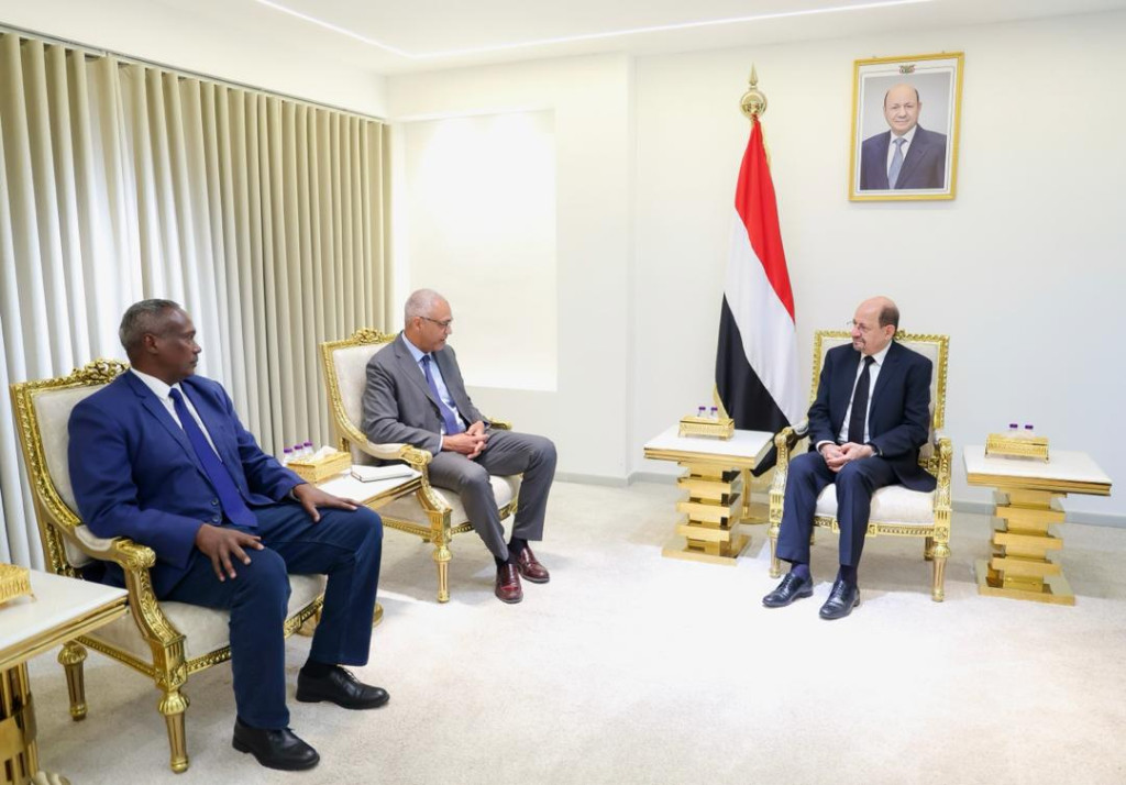 رئيس الوزراء وزير الخارجية يستقبل المنسق المقيم للأمم المتحدة بالإنابة في اليمن